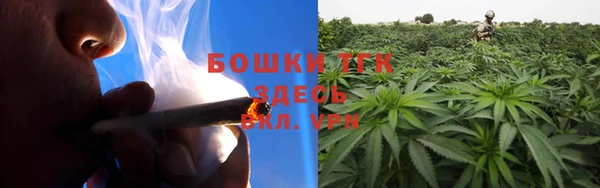 шишки Балабаново